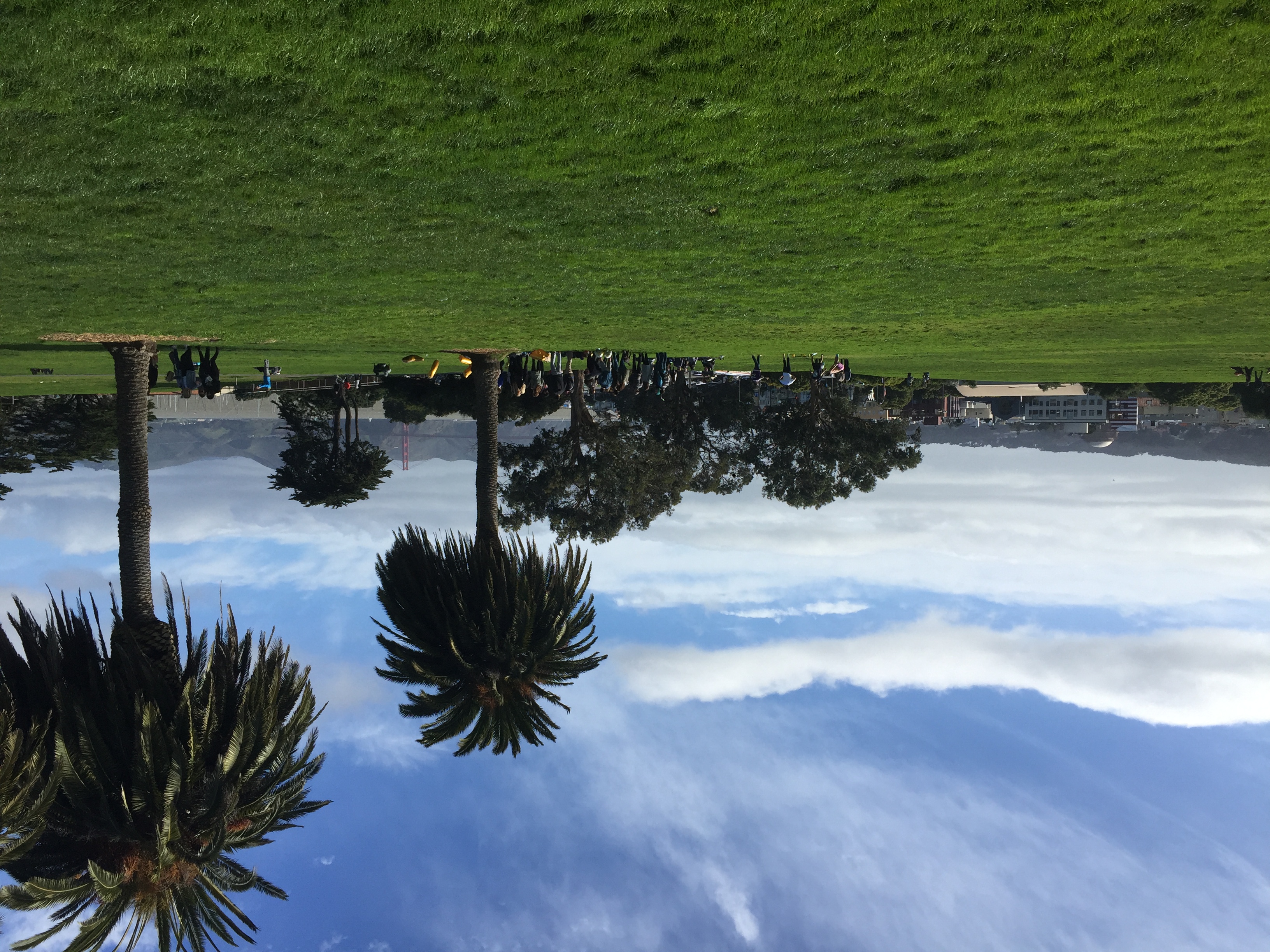 San Francisco in the spring